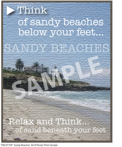 Sandy Beaches