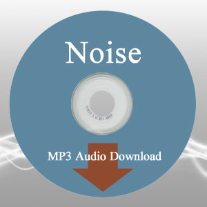 Noise Questions the Book Audio MP3 Download